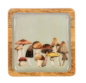 Mushroom Tray
