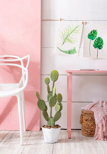 PALM SPRING PINK - 330G - FUSION MILK PAINT