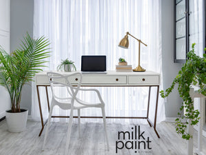 SILVER SCREEN - 50G - FUSION MILK PAINT